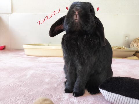 5E00A0C4-51A3-43EF-BB77-DE4F12E5E75D