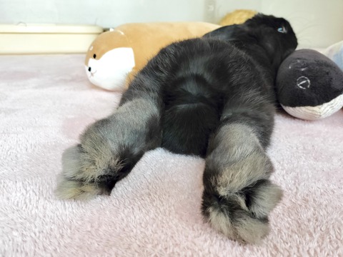 CB657E5E-049B-4331-8A8E-AFEF9C9DFBF0