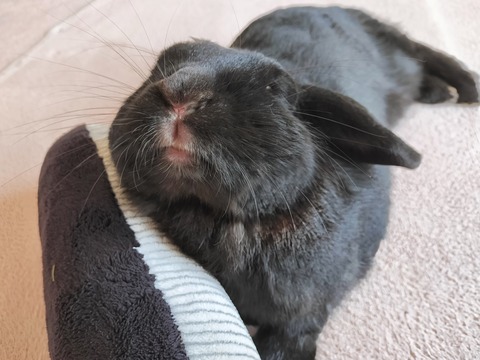 981F08A7-7143-4FE1-A077-FC7223050F0D