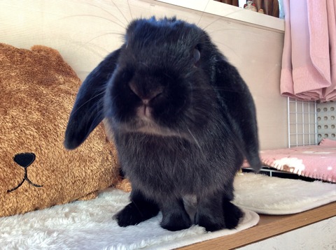 82686337-19A1-4A1D-B24C-53125EA2C792