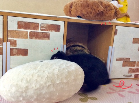 F947AF5C-34F8-4220-B059-07B9C1C5C38D