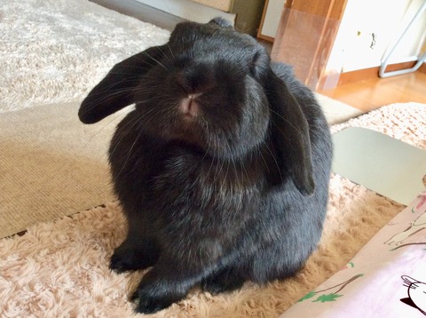 81241A27-A3C3-4F48-9650-6C883BA65A3E