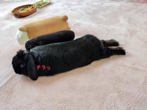 48211F62-AE2A-4A90-8BD2-253E192ED765