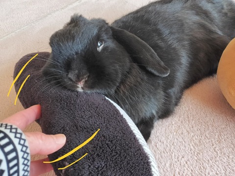 A00A385B-FEE3-4AE2-946C-85C55828F41D