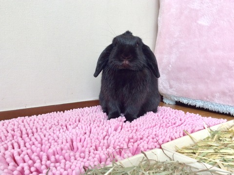 CABE4D4F-F7AF-402F-AAA8-632CB30AFDB0