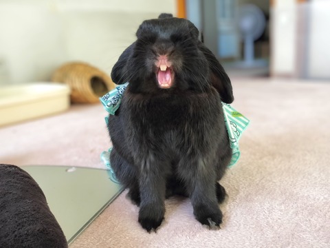 64932F99-C289-46CA-B7BC-E269AD5482F7