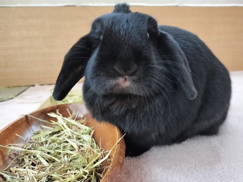 6FA7346C-BD73-42E9-8522-1DA8DBD2ED39