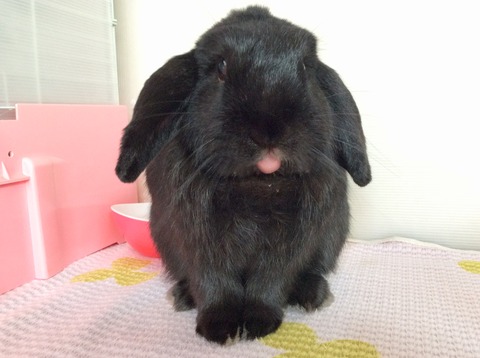 D126D2EA-E441-4DE6-9BEA-6F130341C638