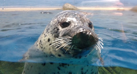 FDD0205D-94A7-441C-A749-56526E604783