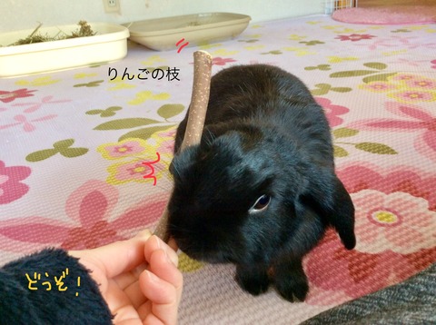 6E65B425-343B-43C9-A1D1-AAA4D830B45F