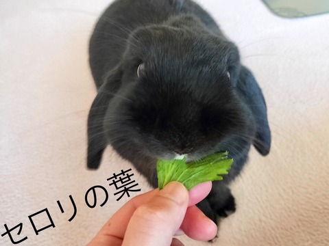 B18A5FF4-5ED8-4D24-9069-B5A12FBD6879