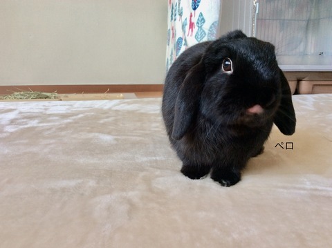 CC690B45-B181-4BDD-936D-845FD157CD33