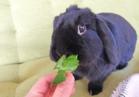 EC0B8321-95C5-4818-A26C-FE01D1679D1C