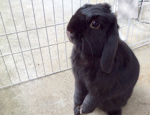 AF8313B2-182D-4445-AE5C-9065AFD30A60