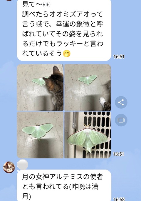 43AF5BD5-B835-4ED2-B6C0-0A781F06BE37