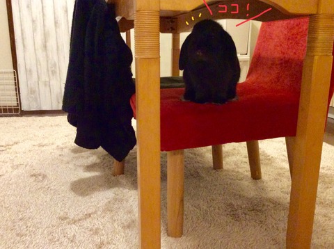 425568DE-9D2A-46F3-A1E8-67096D32FD21