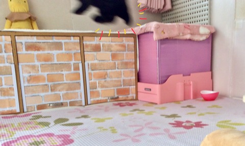 CA15E07B-47B9-4AB7-AD20-5468DC946438