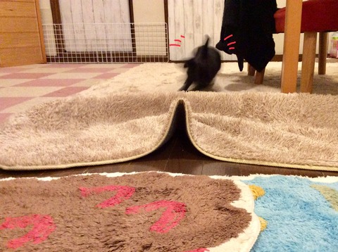 69E9E93F-F1D2-4E60-96C0-6CE878B53CBD