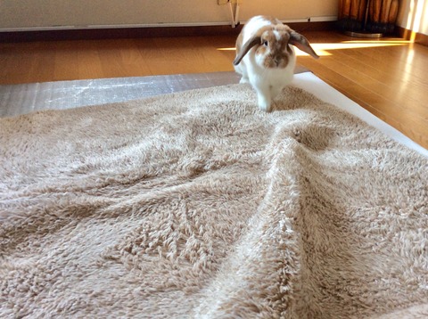 A4B78AF6-DF00-4DFD-9073-218FCE3F7974