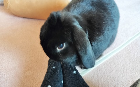 2691485B-889F-4D22-B252-2405A4D7BB98