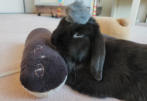 473014A4-E7CF-43A6-9460-B55EC01A9E18