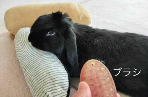 E8C46AEA-84CF-44E4-9B67-59028343735A