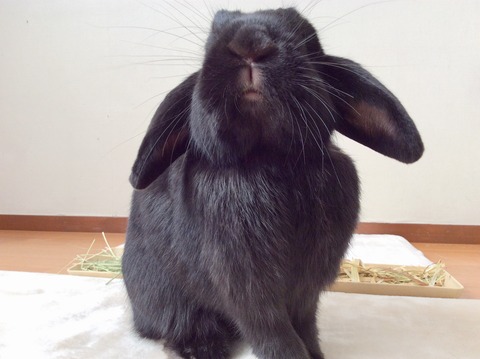 B9707D52-FEED-4D16-8FF3-3AFC54BB779E