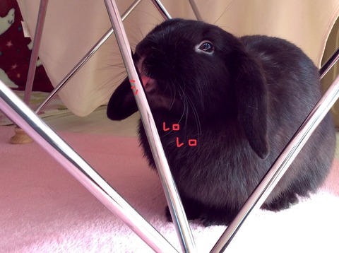 8316C66E-396D-4356-AA3F-1FEDB63DF485