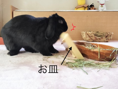 2D110B51-8E1E-47A7-BAAB-1E325B5FCB32