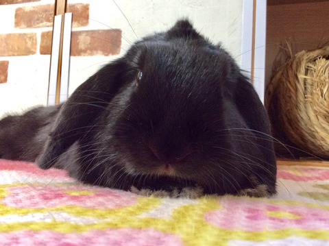 707D1131-2F5B-4A83-A9F6-B5C92078E790