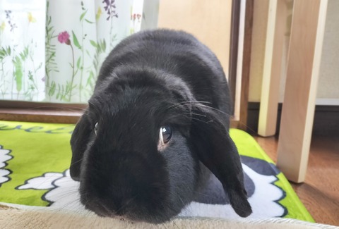 CA51B52E-03AC-4D79-9D7E-D5D70C6208A2