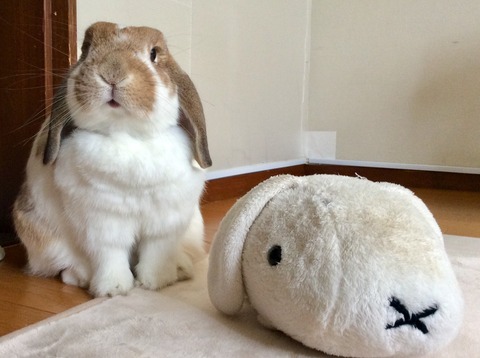 B1EB915E-0539-4054-A821-0720A06AE872