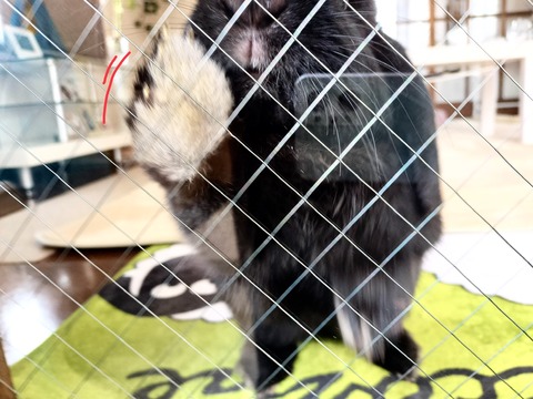 5A373D75-699B-4C9F-B3F7-93D2CB865D85