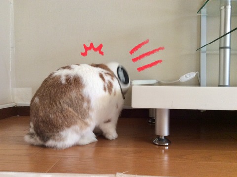 F7E60DB1-9623-4A28-A732-24AF44683CAE