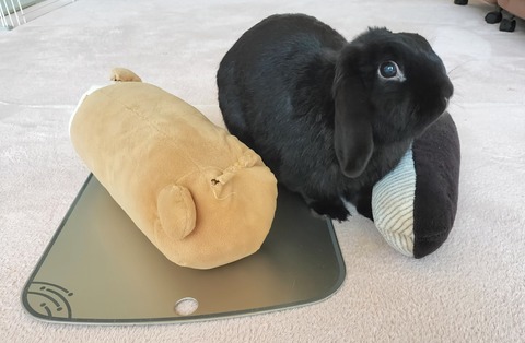 42ADED54-FFD3-45B9-BF3A-C488E81CF1E7