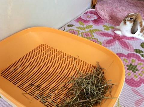 B8A90EFA-C31E-49A7-9E25-5539943196DE