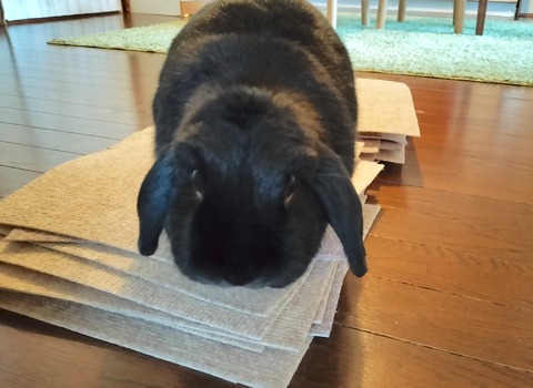 D46B462A-3BB4-4F5D-AEB4-D558BA8B77A5