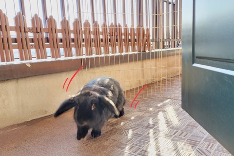 D896D74A-367E-4411-864F-0E67AB81A6B9