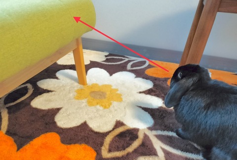 024F2635-184D-4214-AA8C-C0326BBC105F