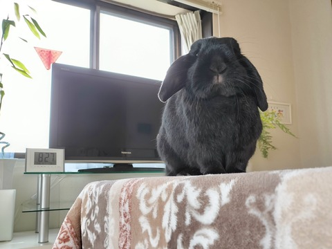 6A5964F9-5C51-4A6E-A7E9-C8055E4DAC23