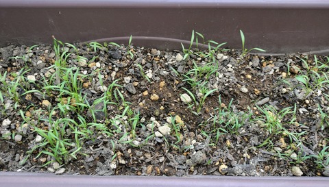 5B01A1DB-7A3B-4CE3-87AA-E84C9D36F499