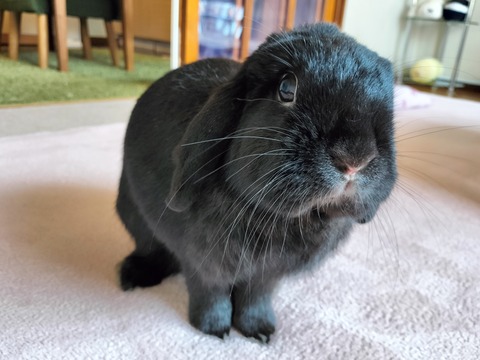 26A4252D-4DE5-4C0E-808A-7C6F42638AC1