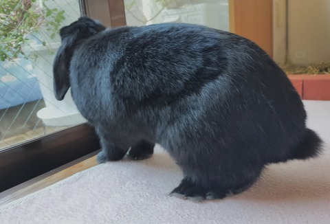 5554E922-1789-4CF4-A408-9E1723196EBD