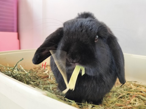 EE5285BA-6295-4B1F-B894-3AC3C9294F50