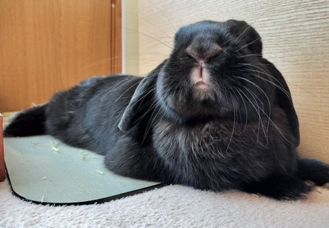 446D1746-B2B9-43B9-9702-E4F0FB35FE9D