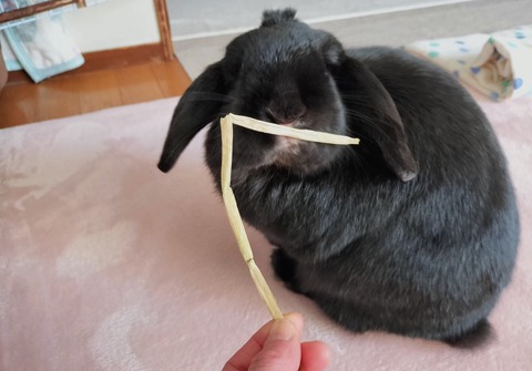 18FE6AF6-EE50-466A-8CF4-81CCD191A7F4