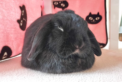 E1F41AE4-0541-40C2-9811-D288346817F4