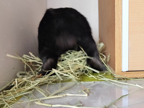 86DCDE1F-B30A-4B2E-9BCD-BBC044567F67