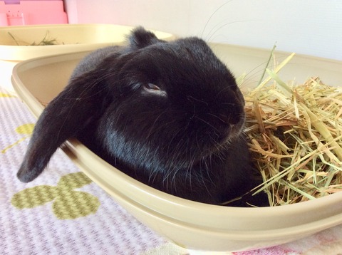 FEC7E8E4-5CFC-4AFA-9B0F-872C22A359C4