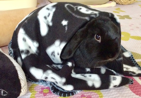 03C1FA31-247B-4580-AD4D-5E3DBD64CE23